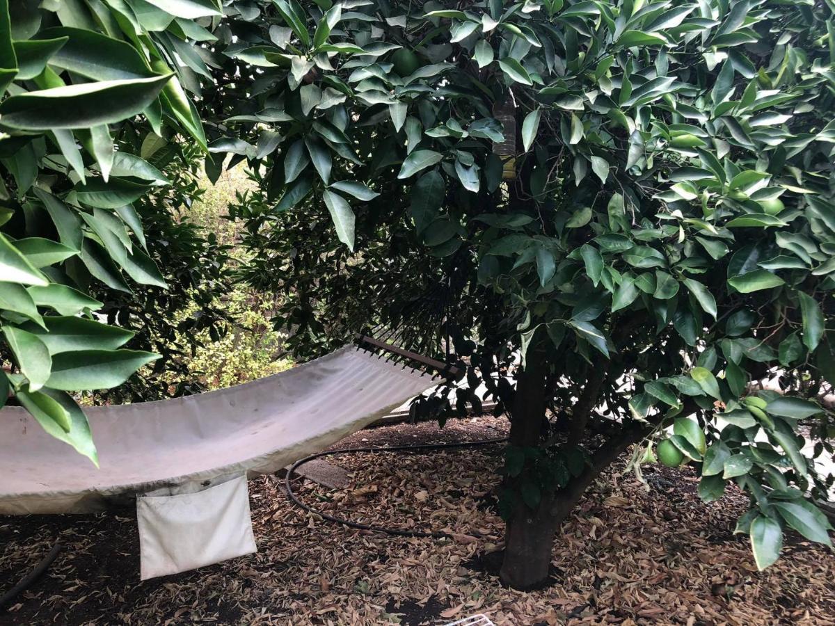 莎尔维特哈克涩姆山林小屋 利维尼姆 外观 照片