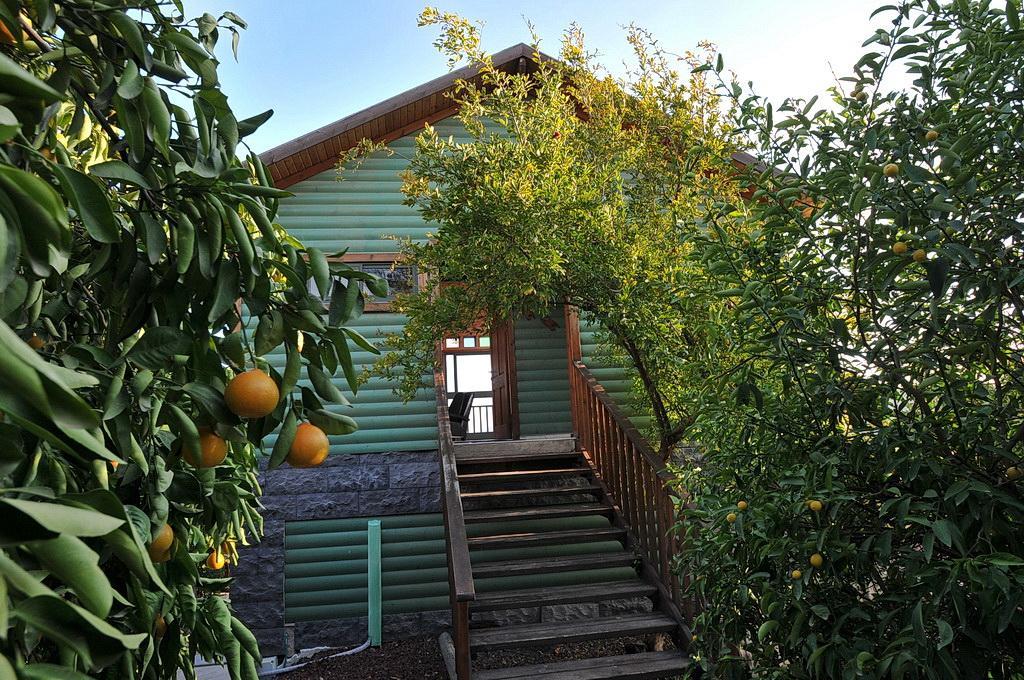 莎尔维特哈克涩姆山林小屋 利维尼姆 外观 照片